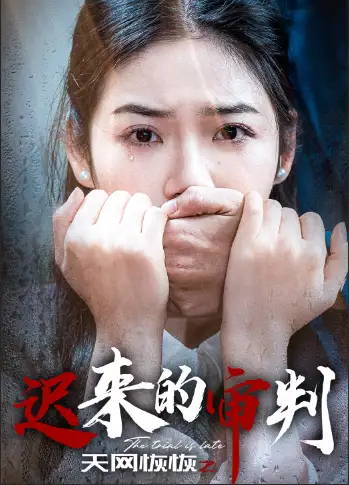 天網(wǎng)恢恢之遲來的審判（31集）李藝璇劇情概要