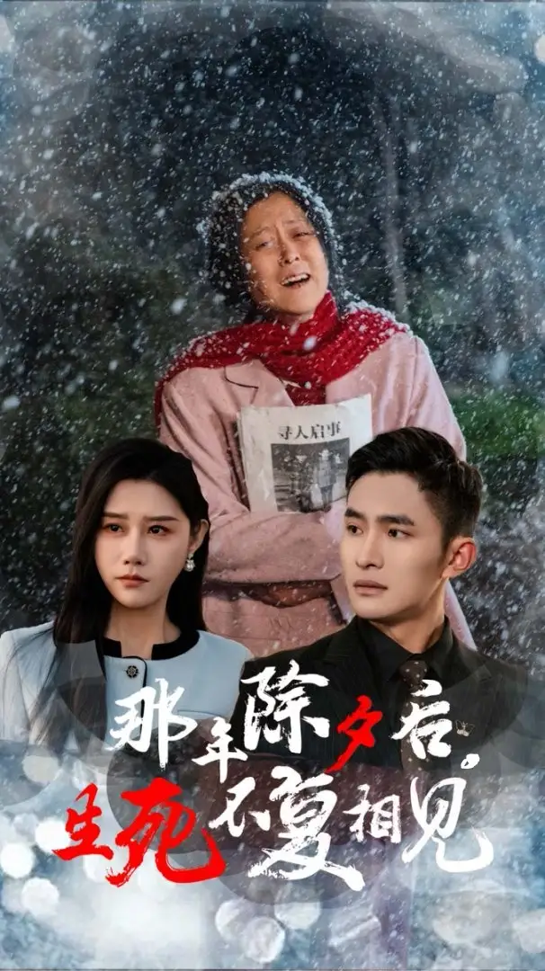 那年除夕后生死不復(fù)相見(jiàn)（48集）魏昕怡劇情概要