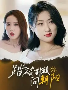 踏破荊棘向朝陽(yáng)（80集）劇情概要