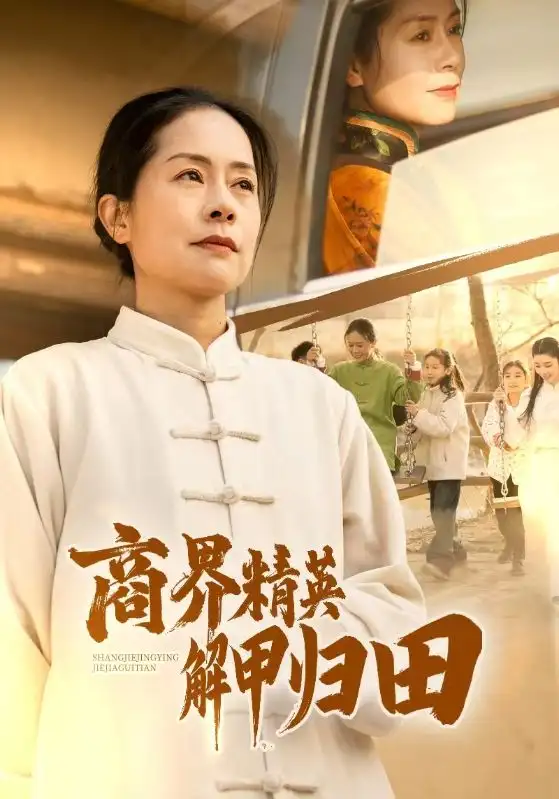 商界精英解甲歸田（31集）劇情概要