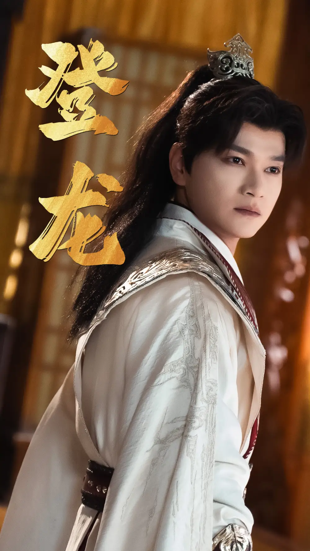 登龍（28集）劇情概要