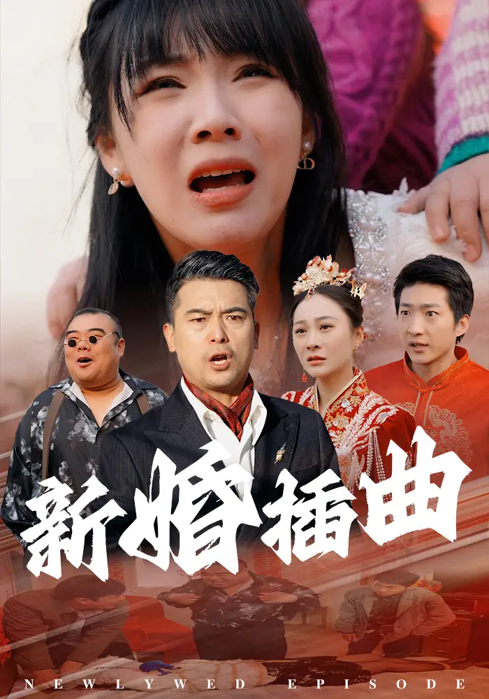 新婚插曲（29集）劇情概要
