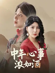 中年心事濃如酒（54集）劇情人物介紹