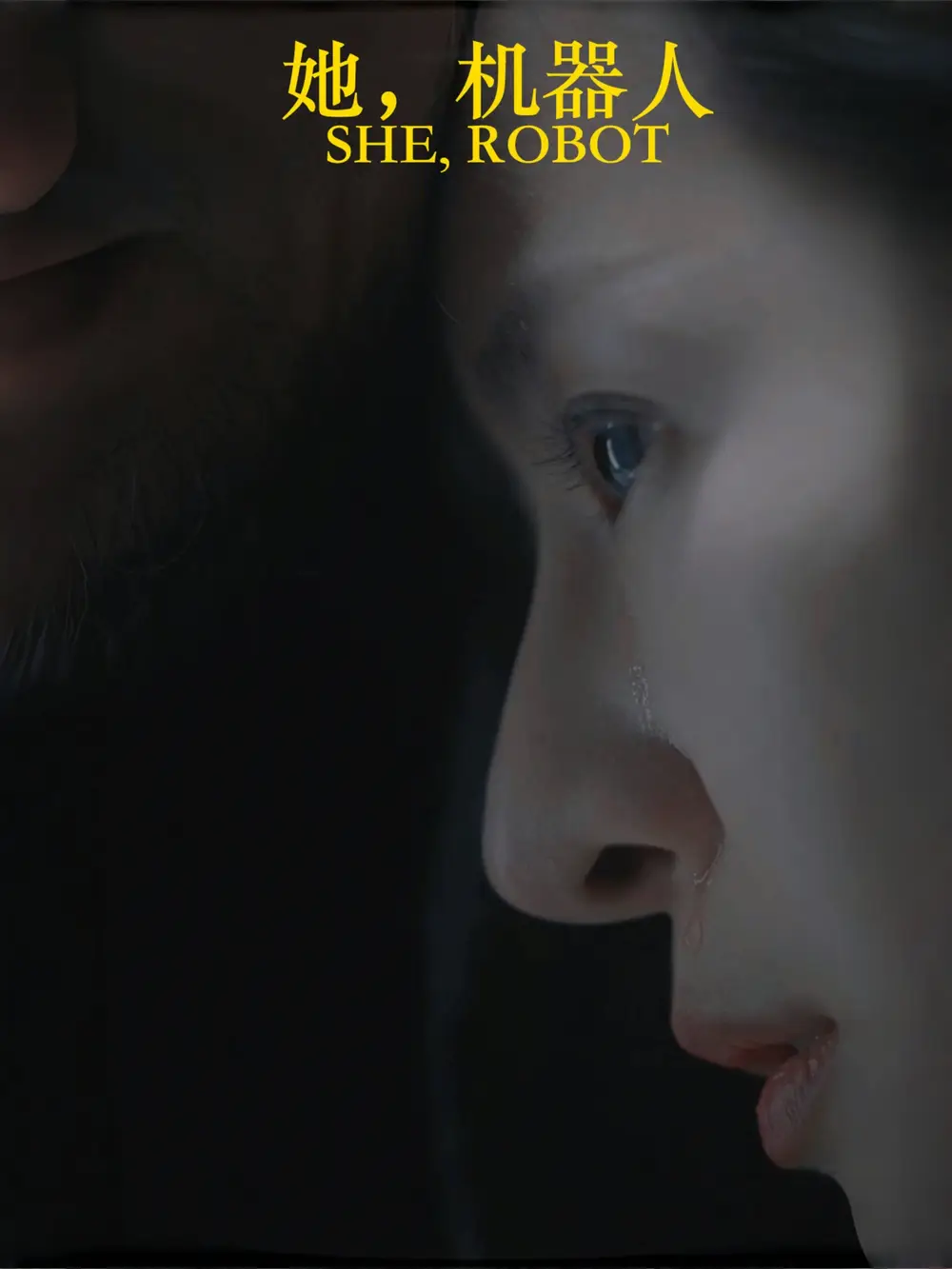 她，機器人（23集）劇情人物介紹