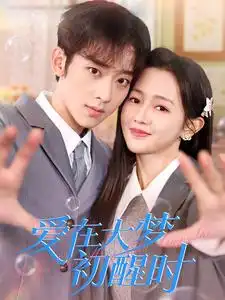 愛在大夢(mèng)初醒時(shí)（100集）劇情概要