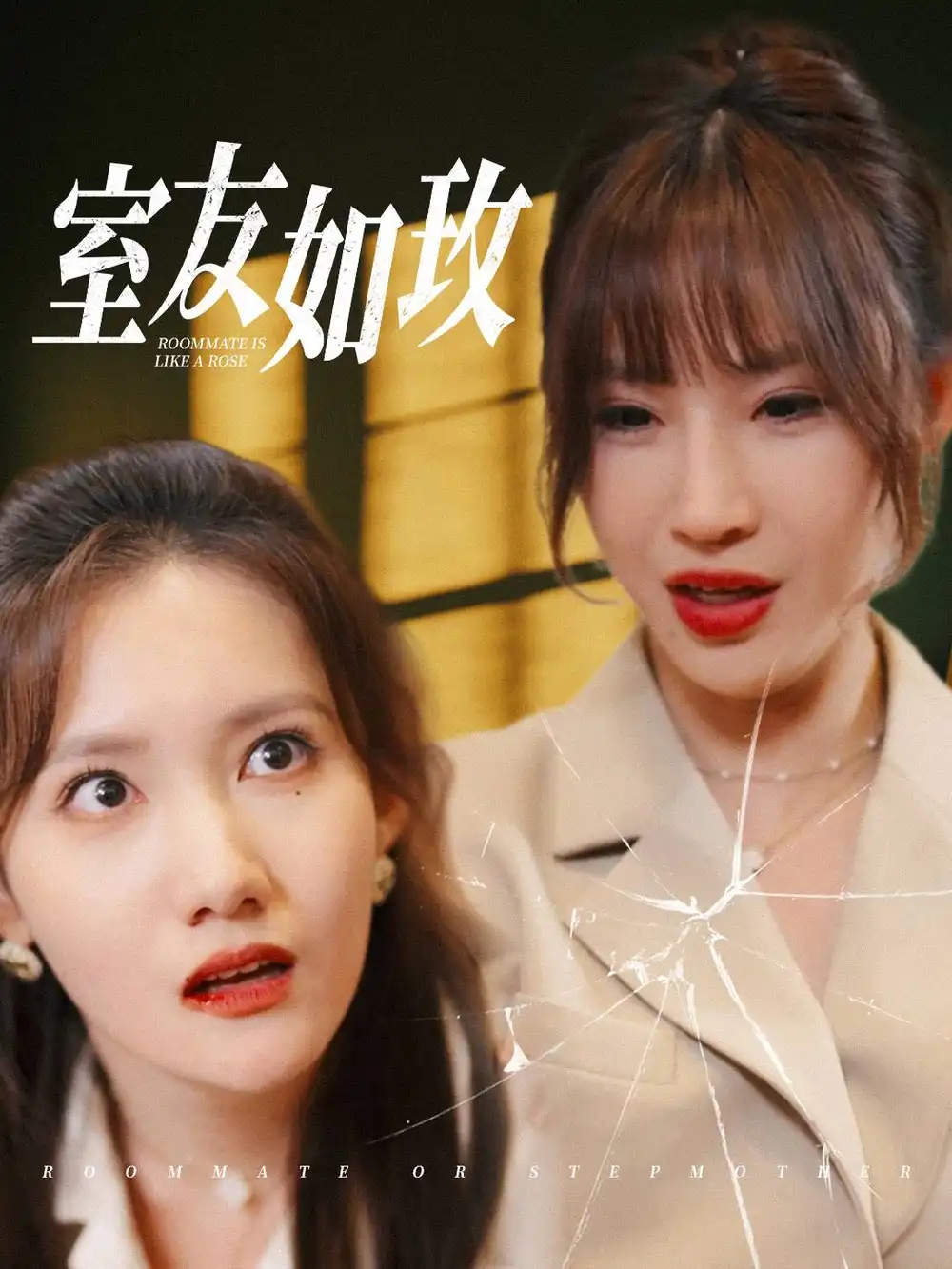 室友如玫（36集）劇情概要