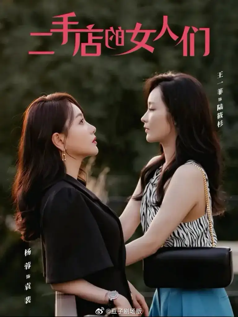 二手店的女人們＆二十九（66集）楊蓉＆王一菲劇情概要