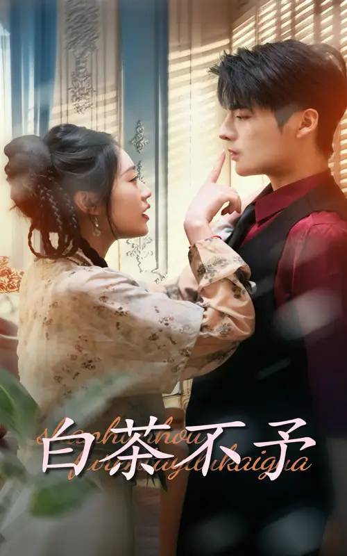 白茶不予（68集）潘欣懿&段美洋劇情概要