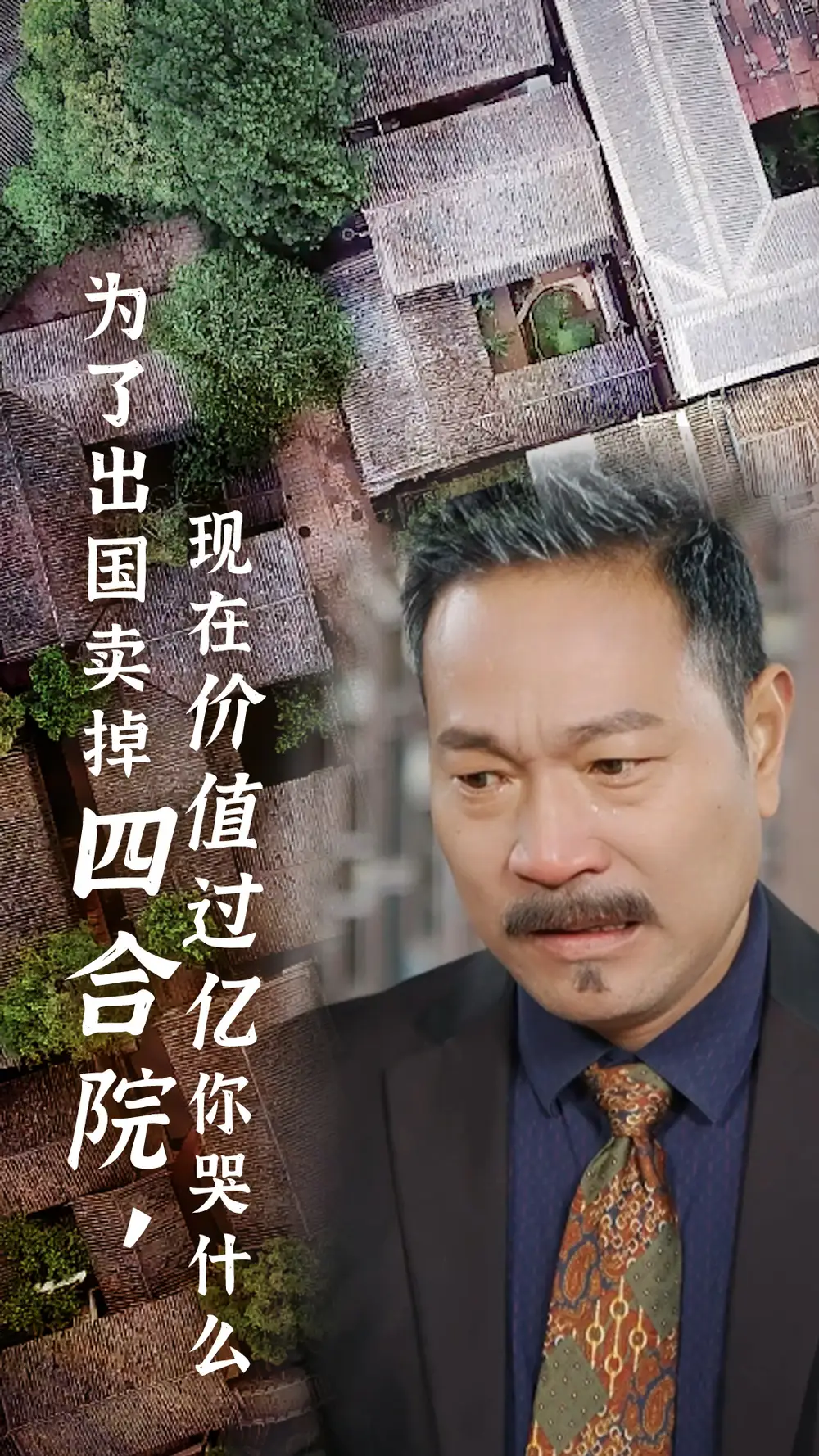為了出國(guó)賣掉四合院現(xiàn)在價(jià)值過億你哭什么（30集）劇情概要