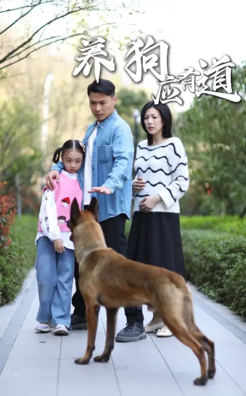 養(yǎng)狗應(yīng)有道（60集）