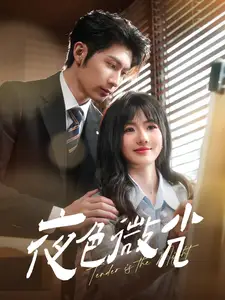 夜色微光（91集）王子林＆田甜一劇情人物介紹