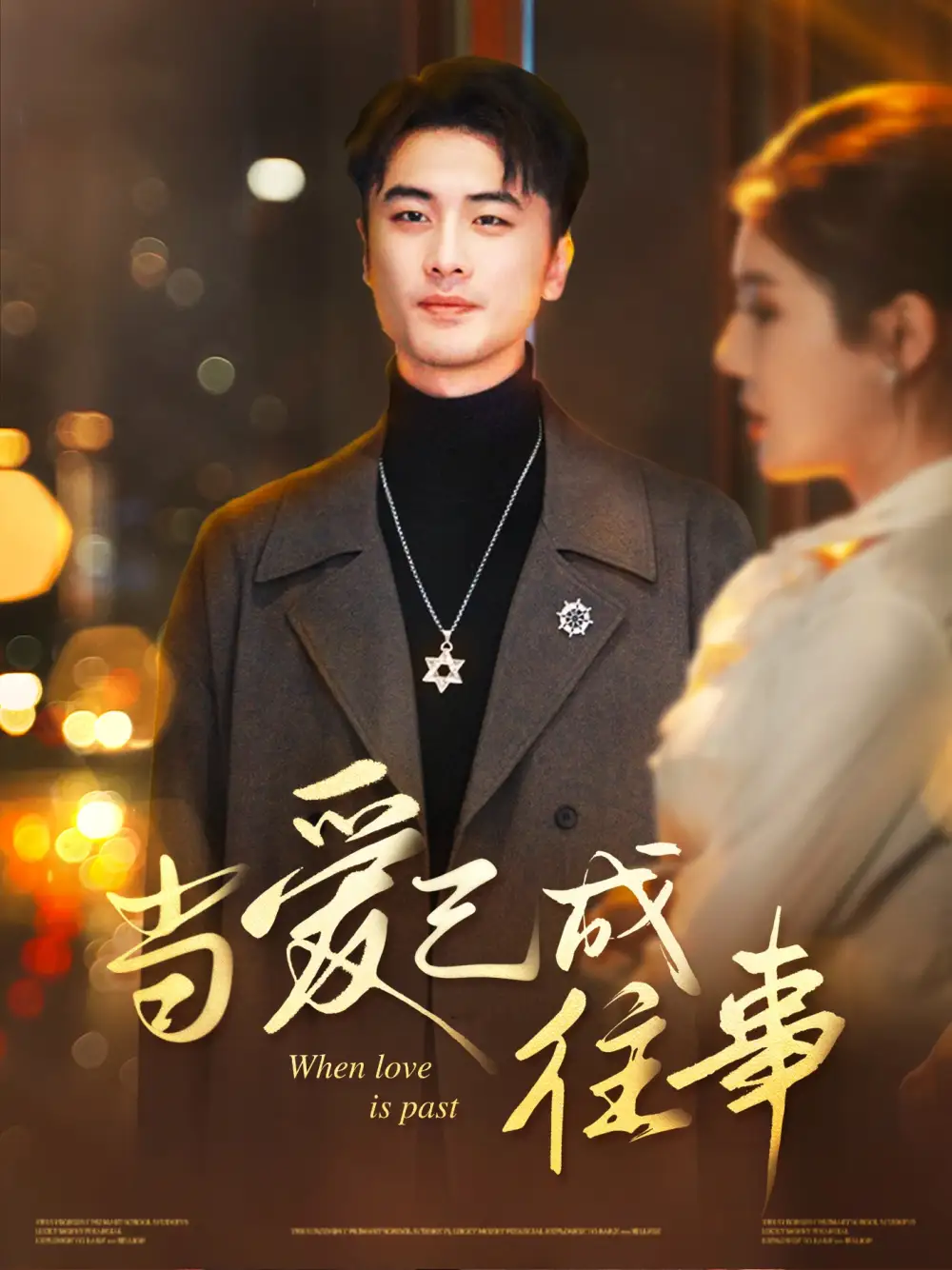 17.當(dāng)愛已成往事（30集）張黎昊&李雨欣劇情人物介紹