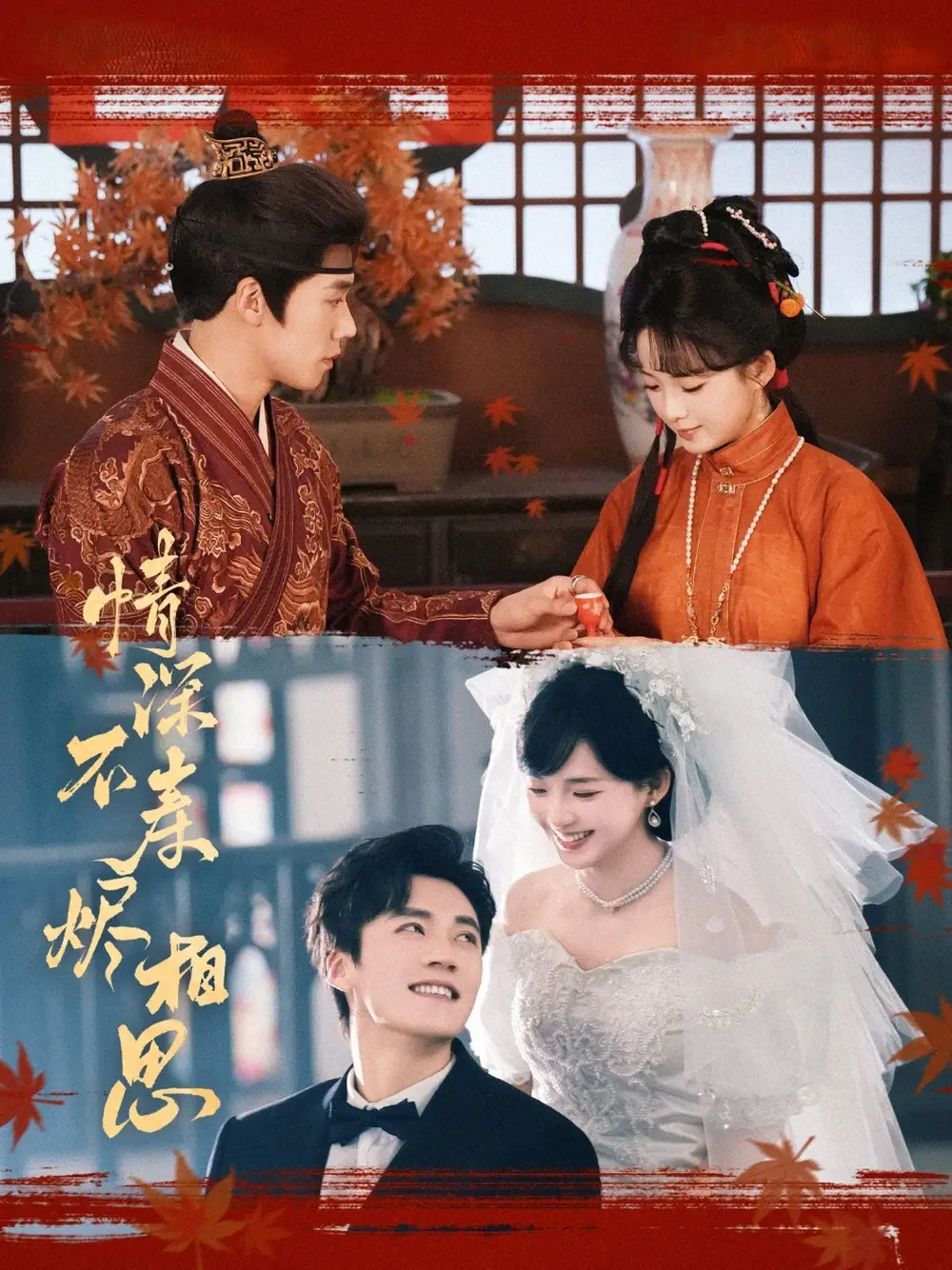 情深不壽燼相思（60集）蔡欣洋&莉莉崽劇情概要
