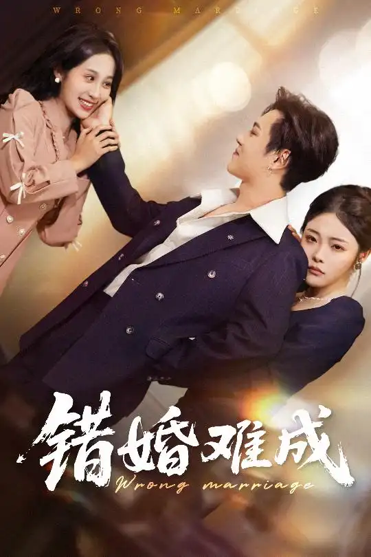 錯(cuò)婚難成（45集）彭程&武鴻蕊劇情人物介紹