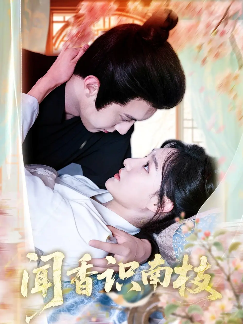 聞香識南枝（60集）李羽彤&希爾力劇情概要
