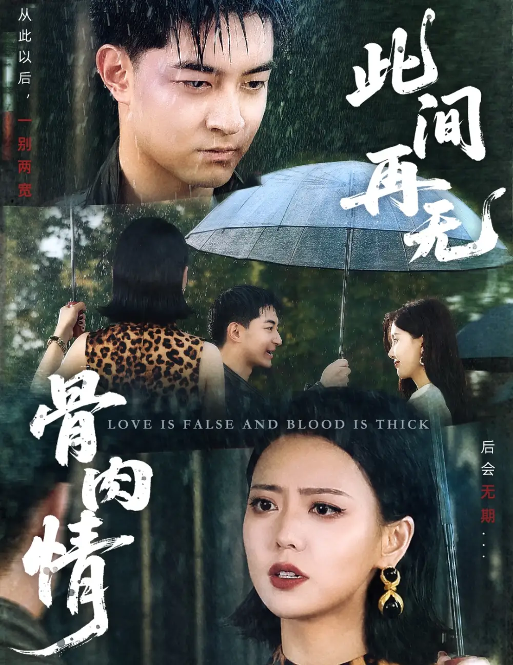 30.此間再無骨肉情（60集）高岫楠劇情人物介紹
